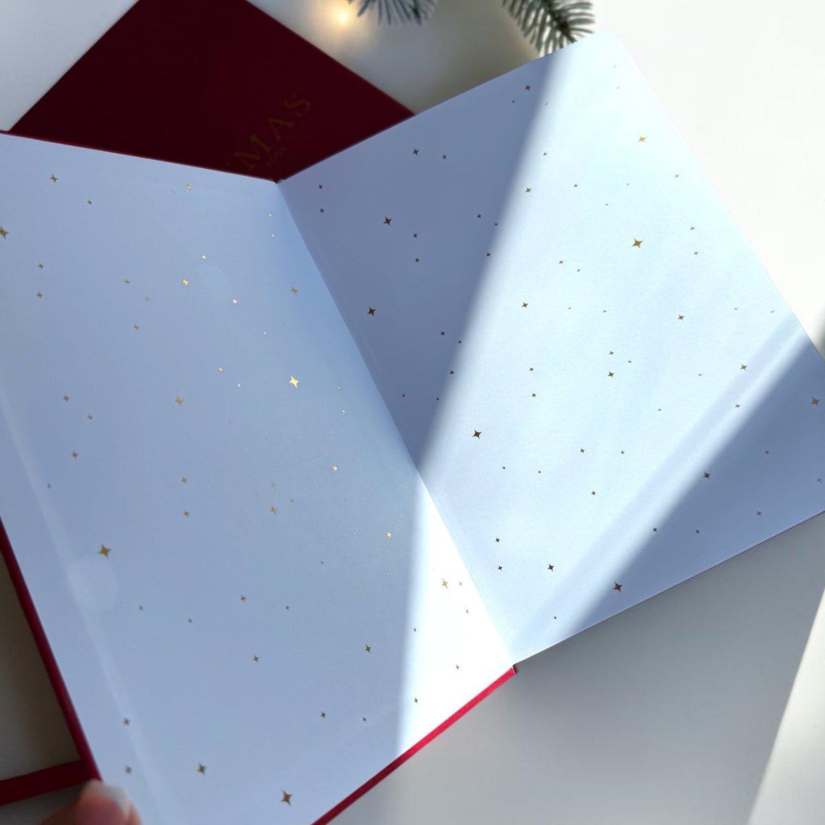 My Christmas Book
